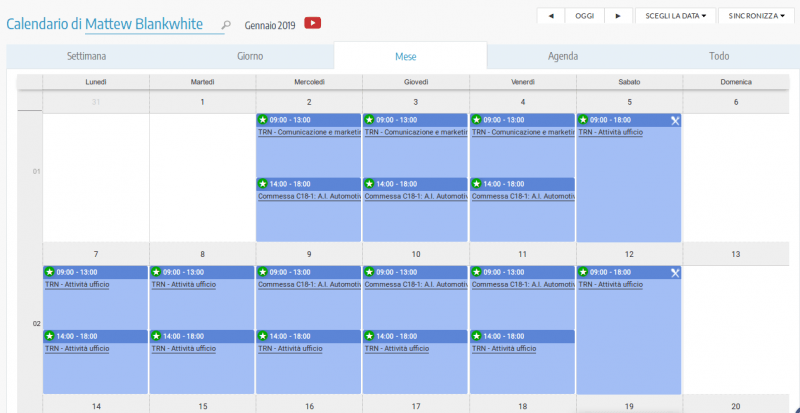 Calendario personale di progetto